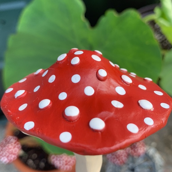 MUSHROOM ๐ Garden Stakes w/ SPOTS! Set of 3 - Picture 11 of 14
